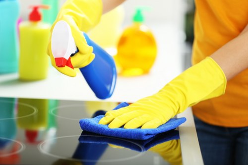 Cleaner reviewing service details and safety checks before starting the job