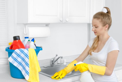 Carpet stain removal in a Becontree home